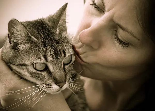 Küsse deine Katze nicht – sie kann es nicht leiden