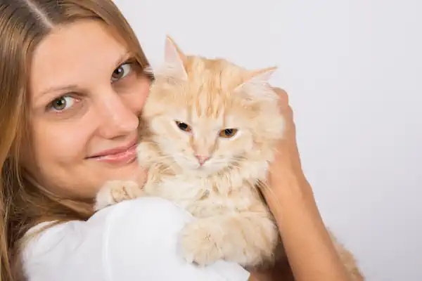 Katze ist beim Tragen entspannt.